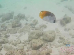 Plage, Brunette brune, Petite amie, Orgasme, De plein air, Pov, Rasée, Nénés