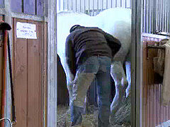 アナル, フェラチオ, 医者