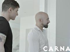 Большой член, Блондинки, Минет, Брюнетки, Геи, Межрасовый секс, Латиноамериканки, Тату