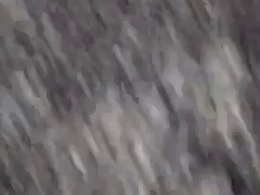 Amateur, Negro, Universidad, Ébano, Grupo, Pov, Tetas