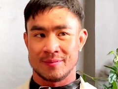 Leie, Asiatisch, Arsch, Schönheit, Blasen, Schwanz, Schwul, Nippel