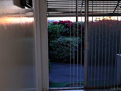 レズビアン