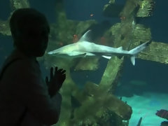 素人, ブロンド, 指いじり, パンティ, ハメ撮り, 剃毛, ショートヘア, 靴下