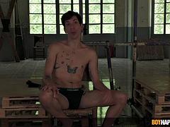 Homosexuelle