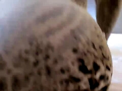 Grosse titten, Braunhaarige, Pummelig, Schwanz, Arzt, Selbstgemacht, Zierlich, Weibliche ejakulation