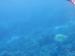 素人, 浴室, 足, 露出狂, 足コキ, 彼女, 小柄, 剃毛