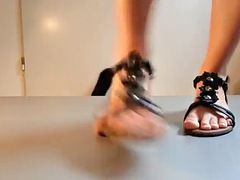 Grosse bite