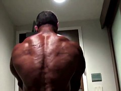 筋肉