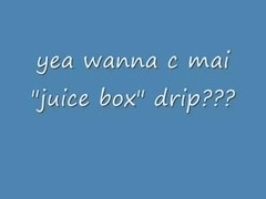 Indica Shakinit