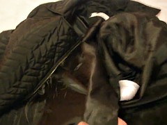 Schwul, Titten, Ehefrau