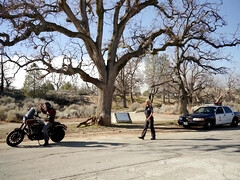 Amerikanisch, Grosser arsch, Blondine, Aufs gesicht abspritzen, Hardcore, Lecken, Tätowierung, Uniform