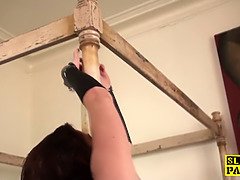 Садо мазо, Большие сиськи, Брюнетки, Постарше, Глубокая глотка, Фетиш, Милф