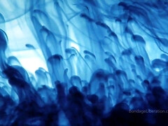 Amateur, Culo grande, Tetas grandes, Dominacion femenina, Madres para coger, Tetas