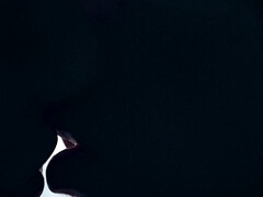 お尻, ディルド, フィストファック, Hd, ペニスバンド, ティーン, オッパイの, おもちゃ