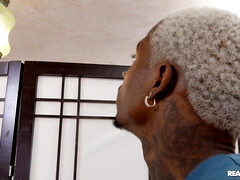 Culo grande, Verga grande, Tetas grandes, Negro, Garganta profunda, Peludo, Coño, Nalgadas