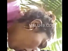 Bruinharig, Lul, Hd, Indisch