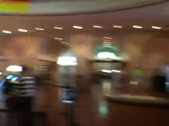 Pijpbeurt, Bruinharig, Gezichtspunt, Realiteit