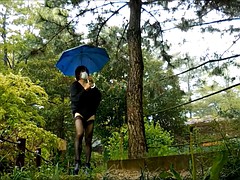 i of the rainy day