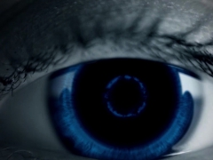 Минет, Европейки, Геи, Хд, Мускулы