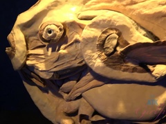 Amateur, Morena, Sucio, Vestido, Abierta, Latina, Masturbación, Pov