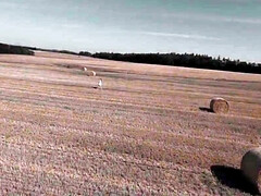 Anal, Cul, Sucer une bite, Hard, Lingerie, Nue, Chatte, Pute