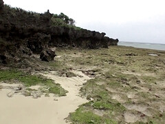 Cul, Sucer une bite, Plantureuse, Tir de sperme, Mignonne, Hd, Japonaise, De plein air