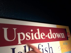 Любители, Блондинки, Пальцем, Подружка, Волосатые, Оргазм, На природе, Киски