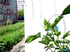 Грудастые, Сперма на лице, Ласковые ручки, Межрасовый секс, Мастурбация, Деньги, Порка, Сиськи