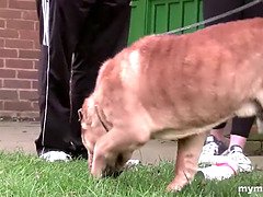 Grote lul, Pijpbeurt, Vingeren, Handbeurt, Likken, Moeder die ik wil neuken, Moeder, Kut duiken