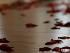 ベッドルーム, デカ尻, デカパイ, ブロンド, フェラチオ, カップル, 顔射, 剃毛