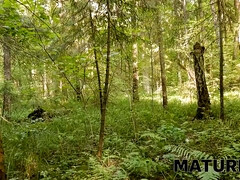 Belleza, Abuelita, Hd, Coño, Pelirrojo, Ruso, Sauna, Afeitado