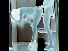 Любители, Большие сиськи, Милф