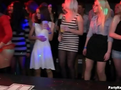 Sucer une bite, Habillées, Groupe, Hard, Lingerie, Jarretelles, Suçant, Echangistes