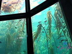 Amateur, Gros cul, Sucer une bite, Doigter, Branlette thaïlandaise, Petite amie, Petite femme, Rasée