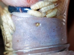 Amateur, Bondage domination sadisme masochisme, Bizarre, Fétiche, Fait maison, Mère que j'aimerais baiser, Public, Tabou