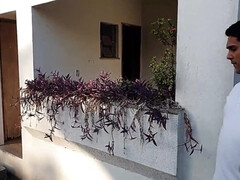 Kont, Mooie dikke vrouwen, Lul, Groepseks, Openbaar, Kut duiken, Tiener, Tieten likken