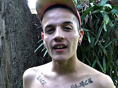 Polla, Gay