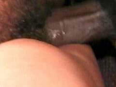 Grosser arsch, Grosse titten, Blasen, Braunhaarige, Spermaladung, Schwanz