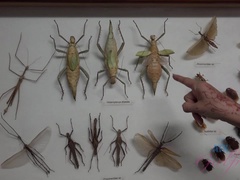 Leie, Füsse, Freundin, Handjob, Latina, Im freien, Muschi, Rasiert