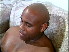 Amateur, Verga grande, Negro
