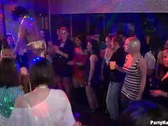 Bruinharig, Naakte man aangeklede vrouw, Dansen, Brillen, Groep, Ondergoed, Feest, Rijden