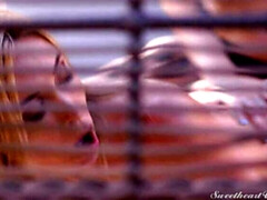 Arsch, Dildo, Küssen, Lesbisch, Lecken, Muschi, Tanga, Titten