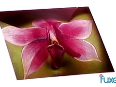 アナル, デカパイ, 顔射, ハードコア, Hd, 母, アウトドア, 三人