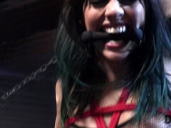 18 jaar, Kont, Bondage discipline sadomasochisme, Hd, Indisch, Doordringend, Ruw, Tiener