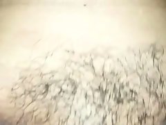 Asiatisch, Behaart, Hardcore, Pov