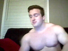 Europeo, Músculo, Solo