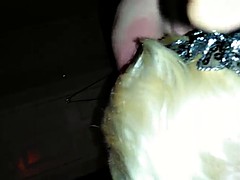 素人, 美女, デカチン, 異人種間