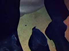 素人, オランダ人, 露出狂, グループ, 公共