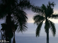 In den arsch, Aus dem arsch in den mund, Braunhaarige, Französisch, Lecken, Zierlich, Reiten, Titten