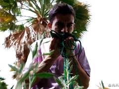 お尻, デカチン, フェラチオ, ハードコア, 淫乱熟女, オマンコ, オッパイの, 濡れ